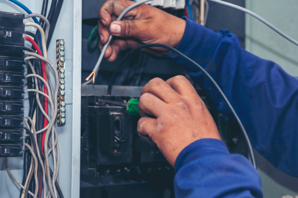 Best Electric Panel Repair  in Lockwood, MO